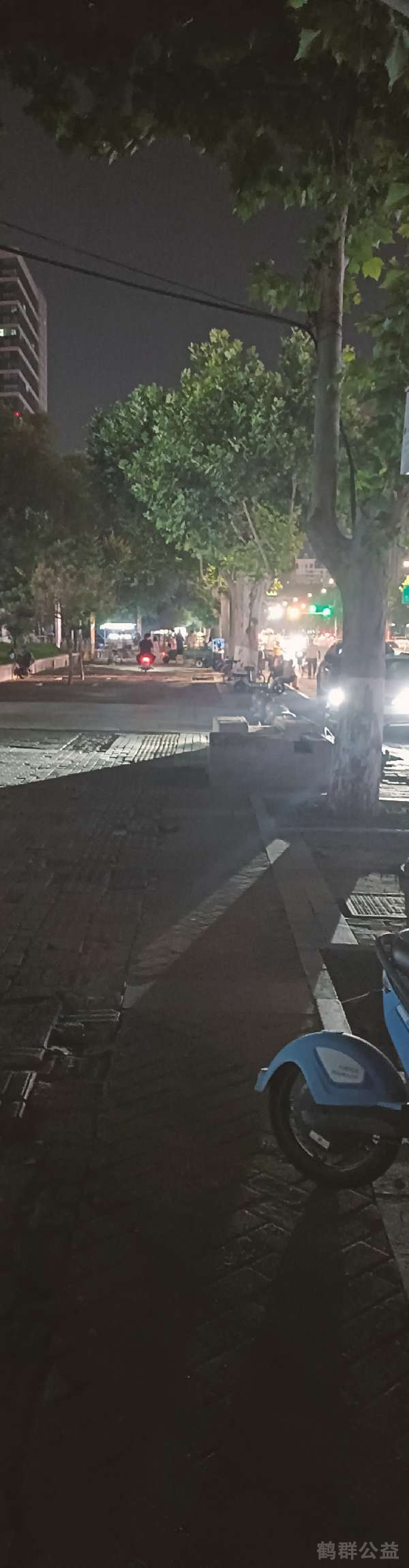 盲道问题处理后图片