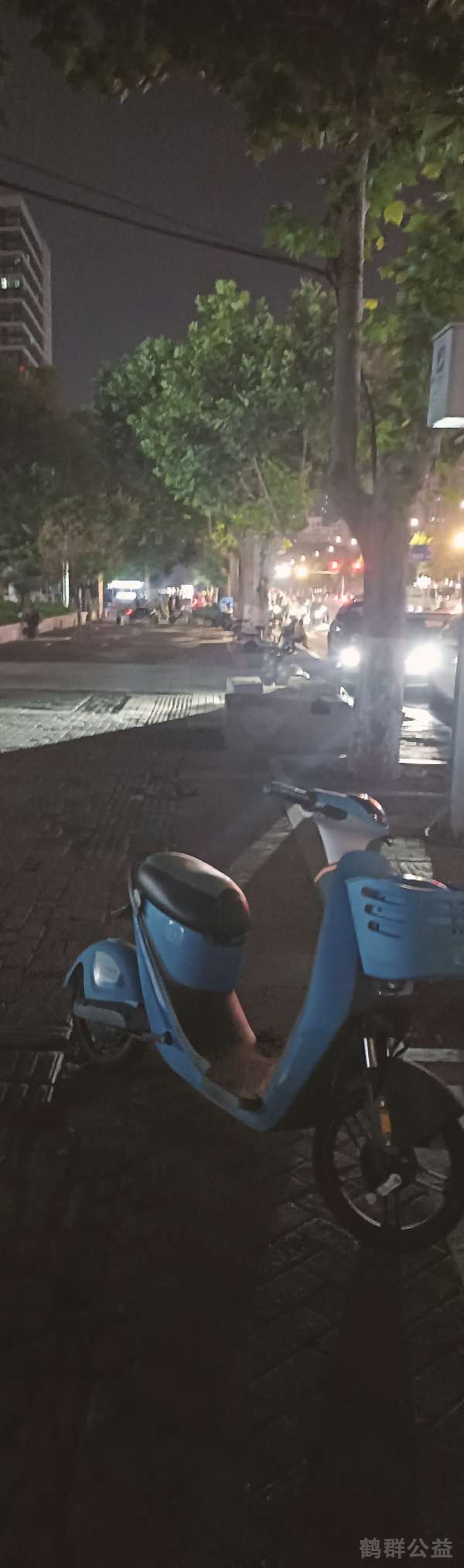 盲道问题反馈图