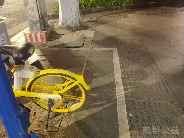 盲道问题处理后图片