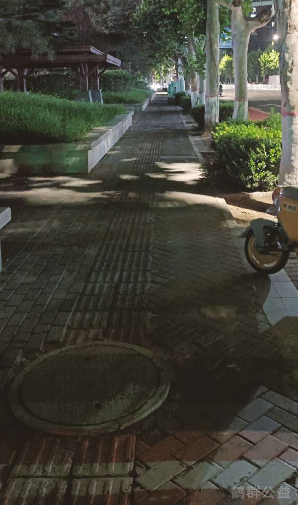 盲道问题处理后图片