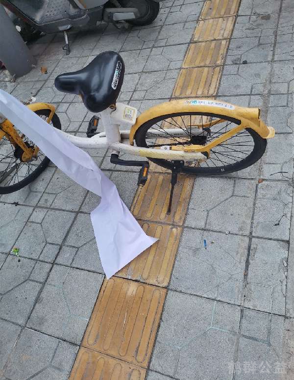 盲道问题反馈图