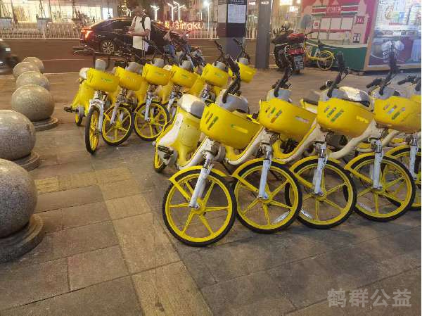 盲道问题处理后图片
