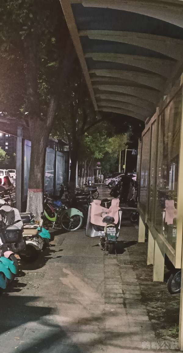 盲道问题反馈图