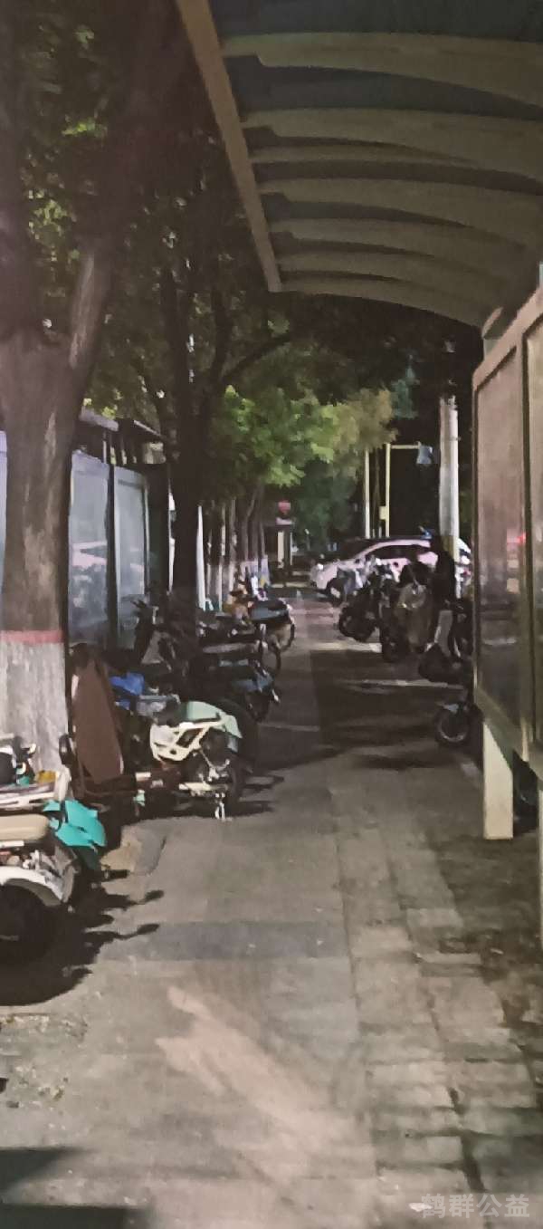 盲道问题处理后图片