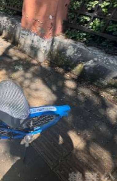 盲道问题反馈图
