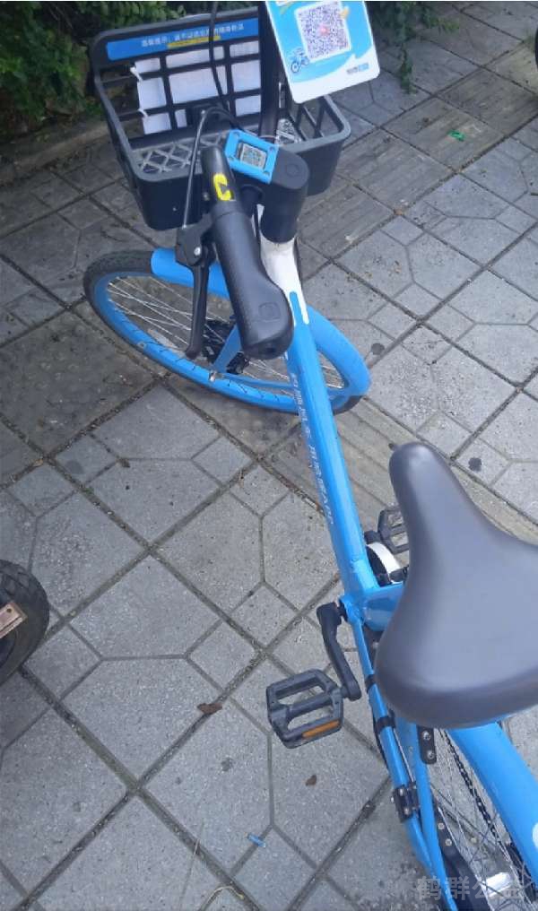 盲道问题反馈图