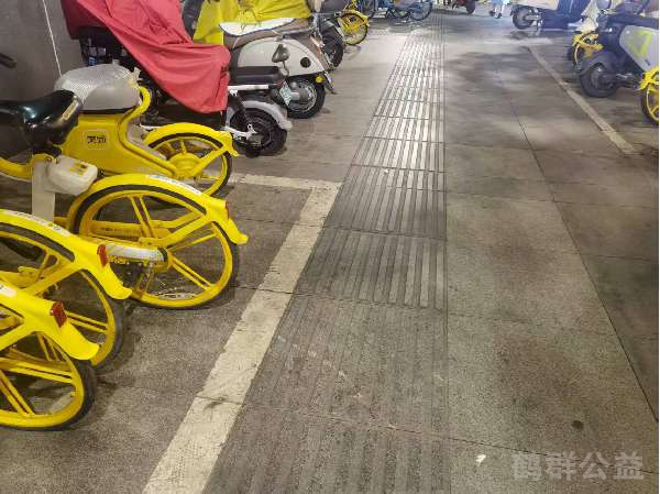 盲道问题处理后图片