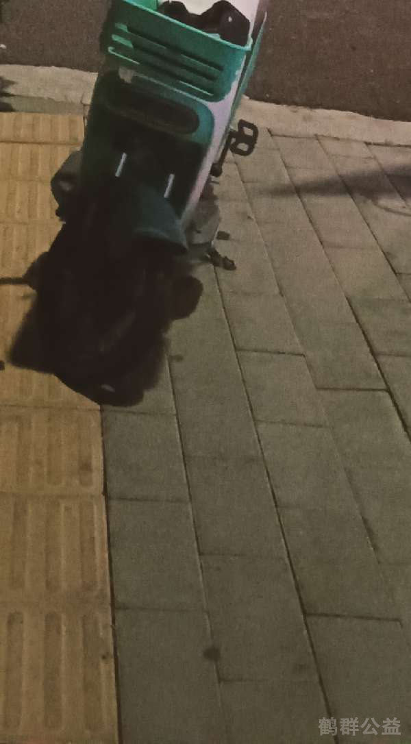 盲道问题反馈图