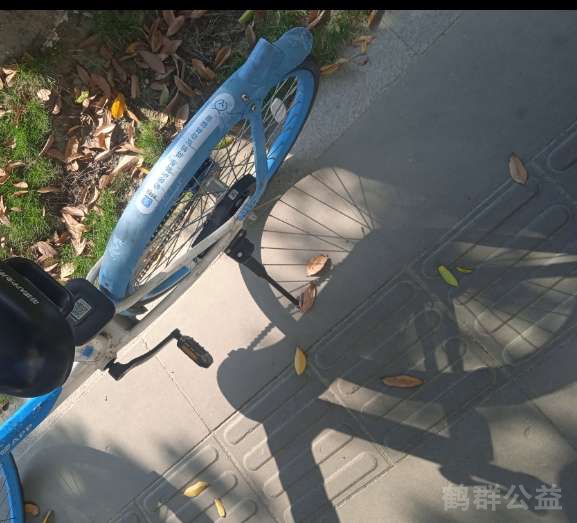 盲道问题处理后图片