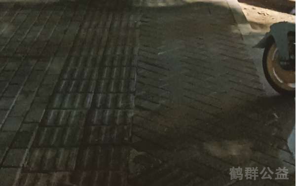 盲道问题处理后图片