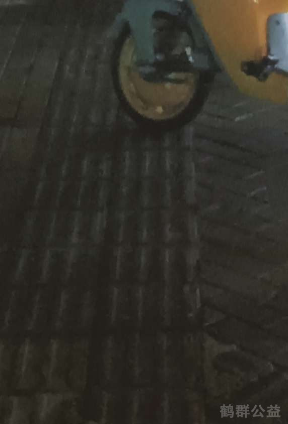 盲道问题反馈图