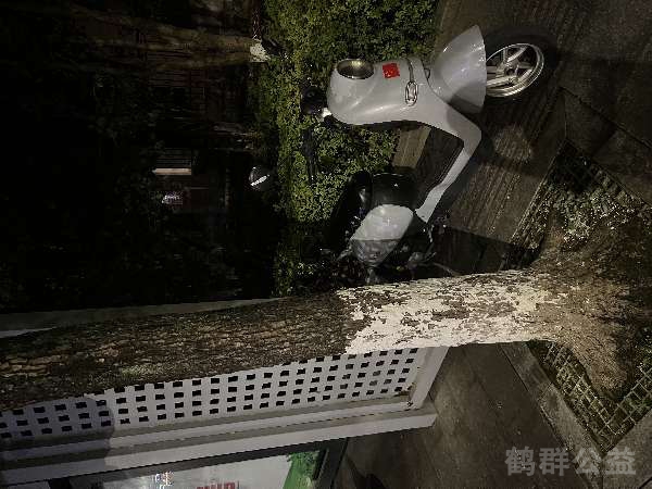 盲道问题反馈图
