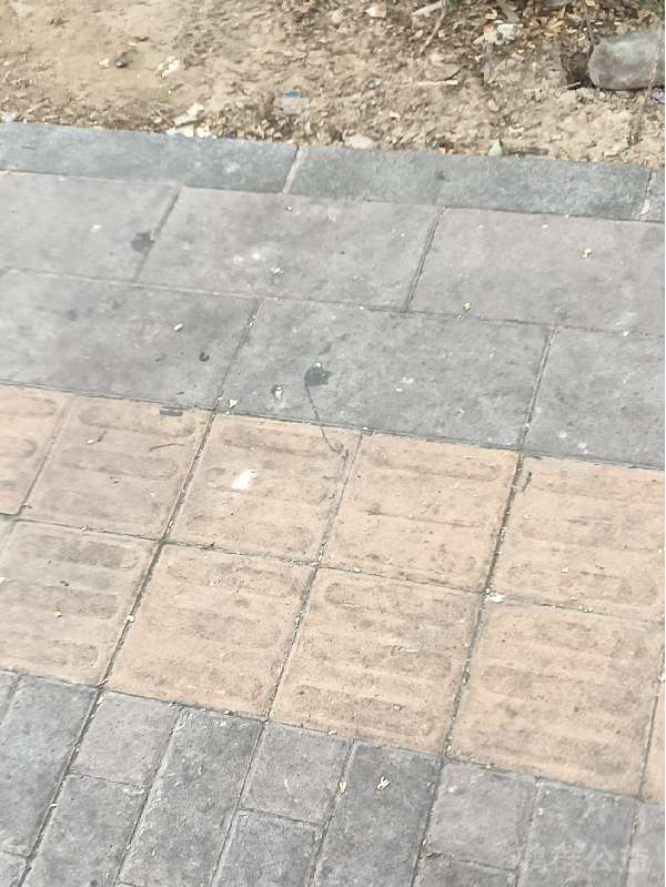 盲道问题处理后图片