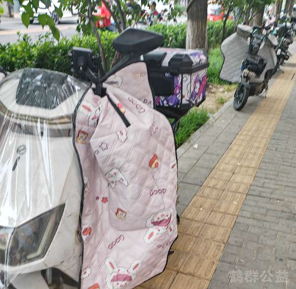 盲道问题处理后图片