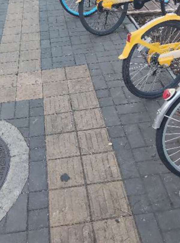 盲道问题处理后图片
