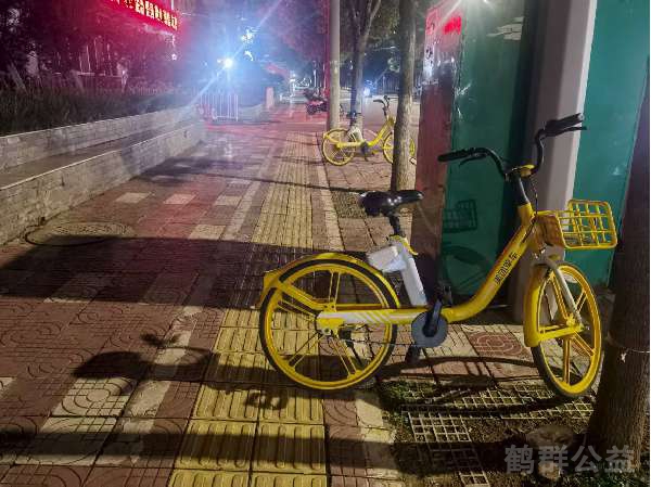 盲道问题反馈图