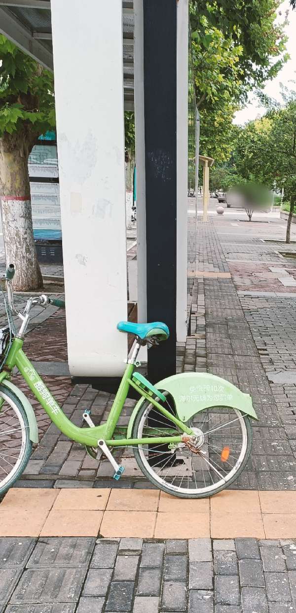 盲道问题反馈图