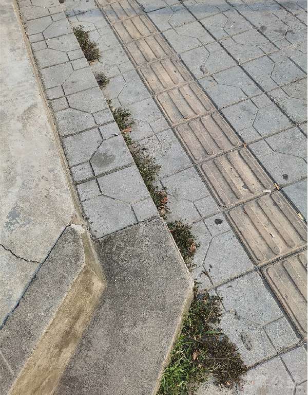 盲道问题处理后图片