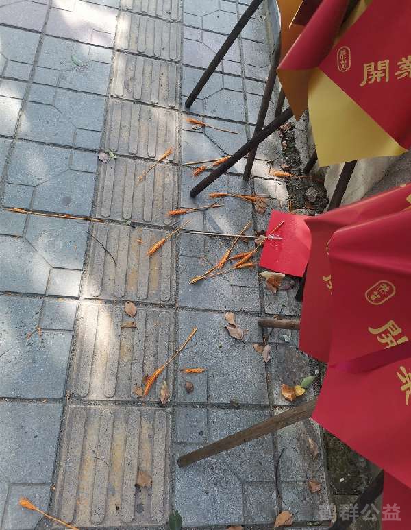 盲道问题处理后图片