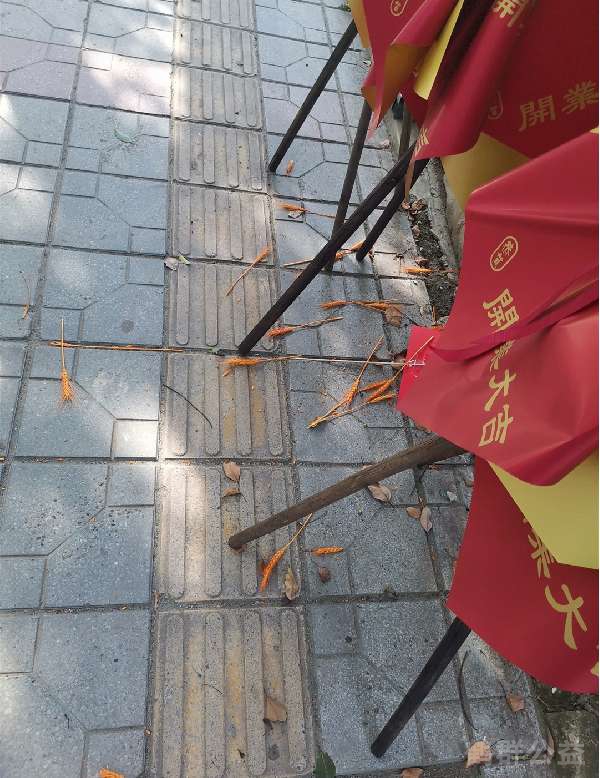 盲道问题反馈图