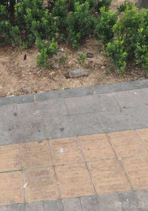 盲道问题处理后图片