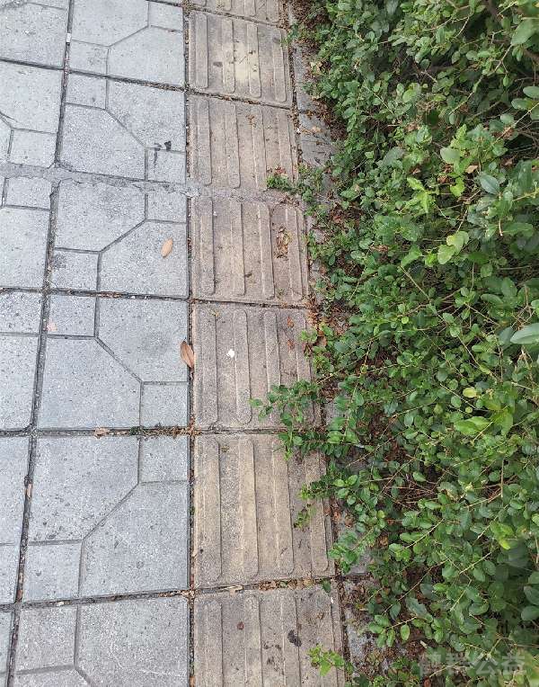 盲道问题处理后图片