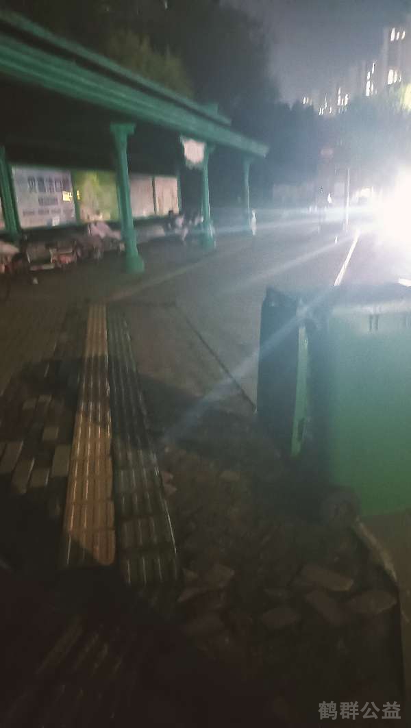 盲道问题处理后图片