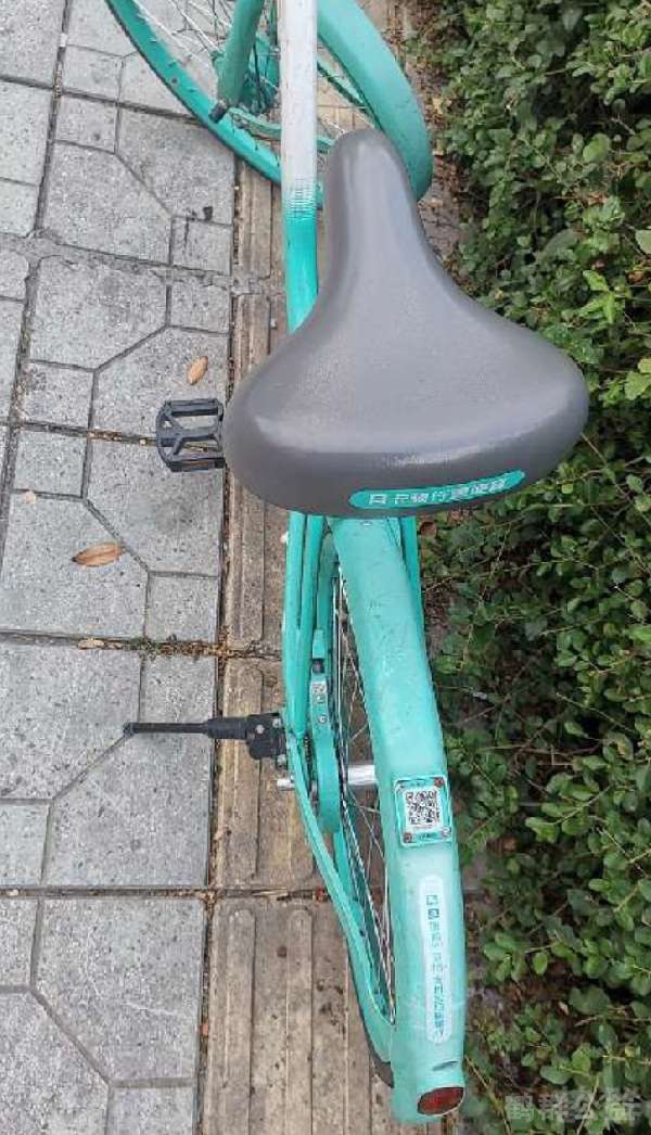 盲道问题反馈图