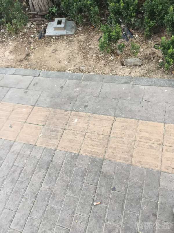 盲道问题处理后图片