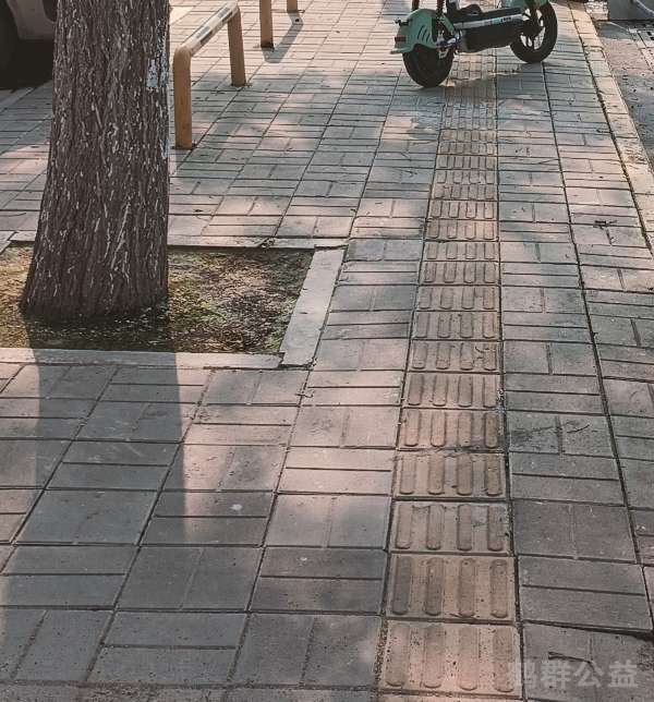 盲道问题反馈图