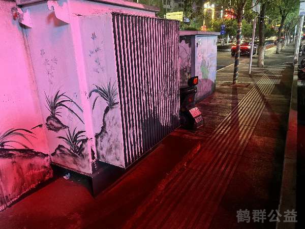 盲道问题处理后图片