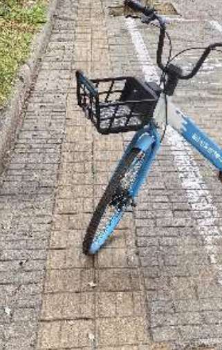 盲道问题反馈图