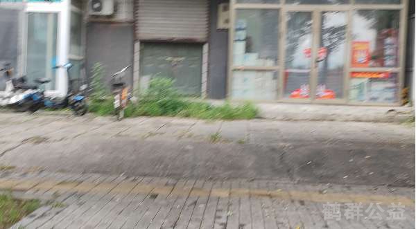 盲道问题处理后图片