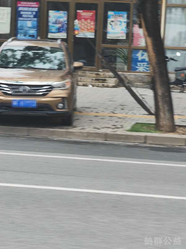 盲道问题反馈图