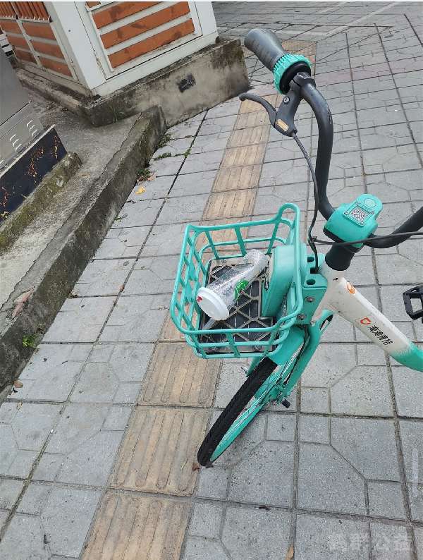 盲道问题处理后图片