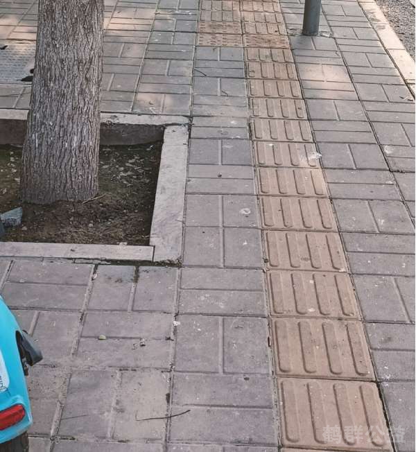 盲道问题处理后图片