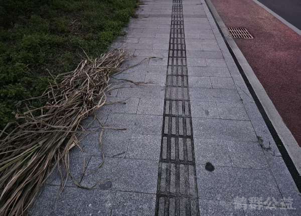盲道问题处理后图片