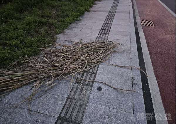 盲道问题反馈图