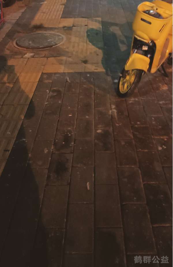 盲道问题处理后图片