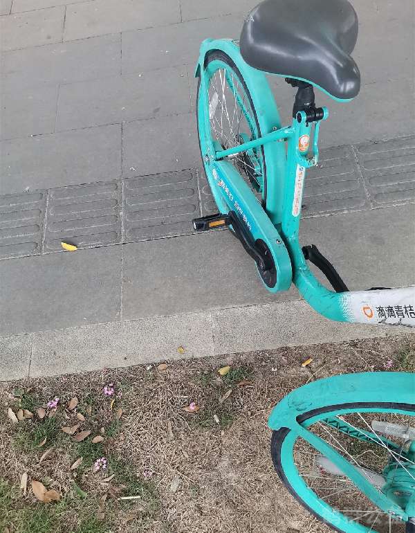 盲道问题反馈图
