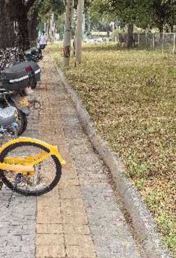 盲道问题反馈图