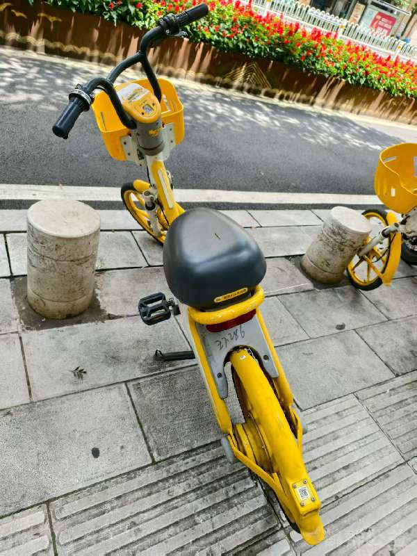 盲道问题反馈图