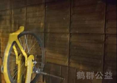 盲道问题反馈图