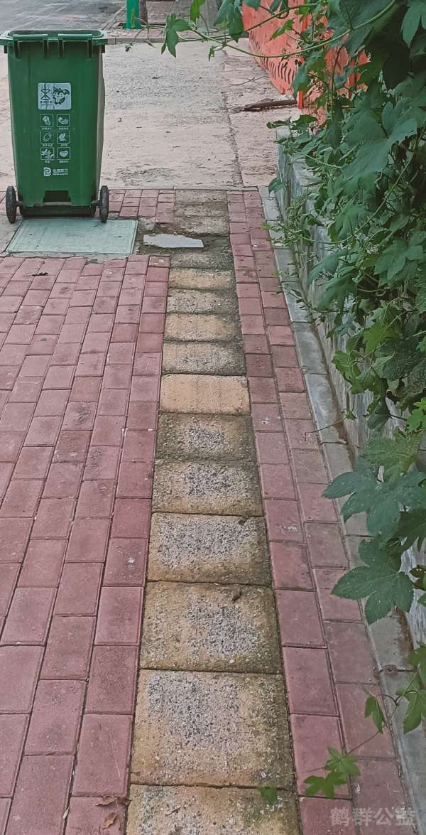 盲道问题处理后图片