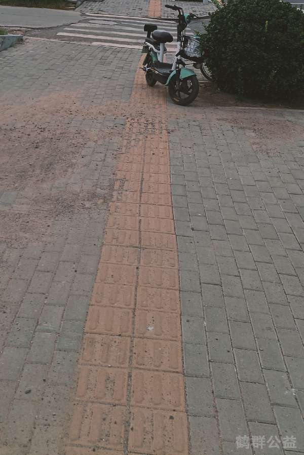 盲道问题反馈图