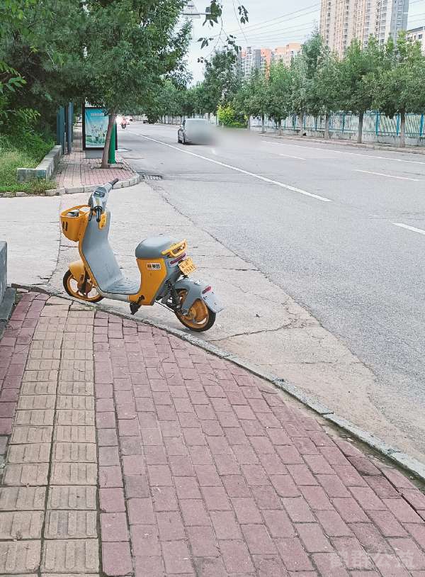 盲道问题反馈图