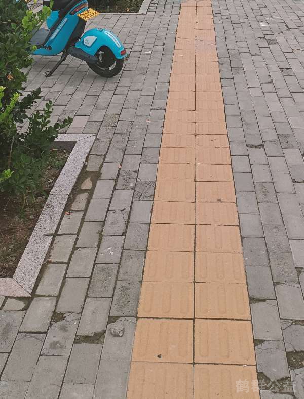 盲道问题处理后图片