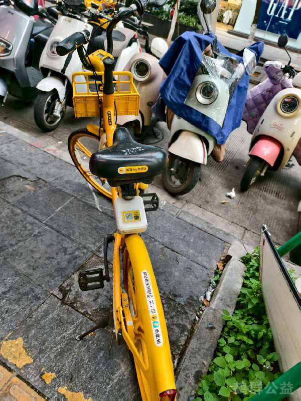 盲道问题处理后图片