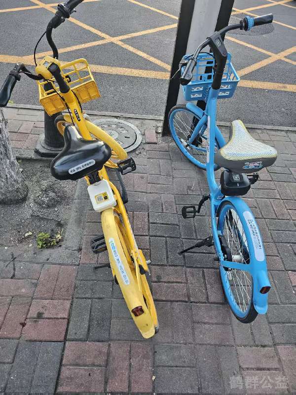 盲道问题处理后图片