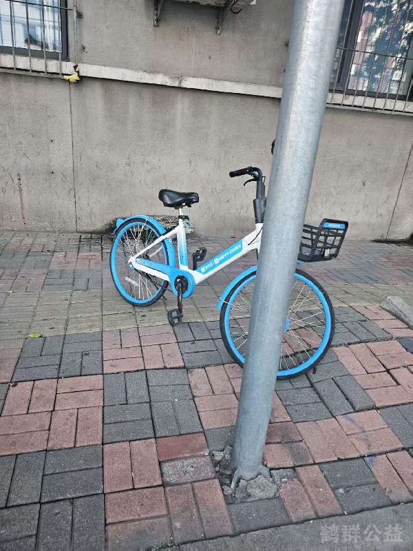 盲道问题反馈图